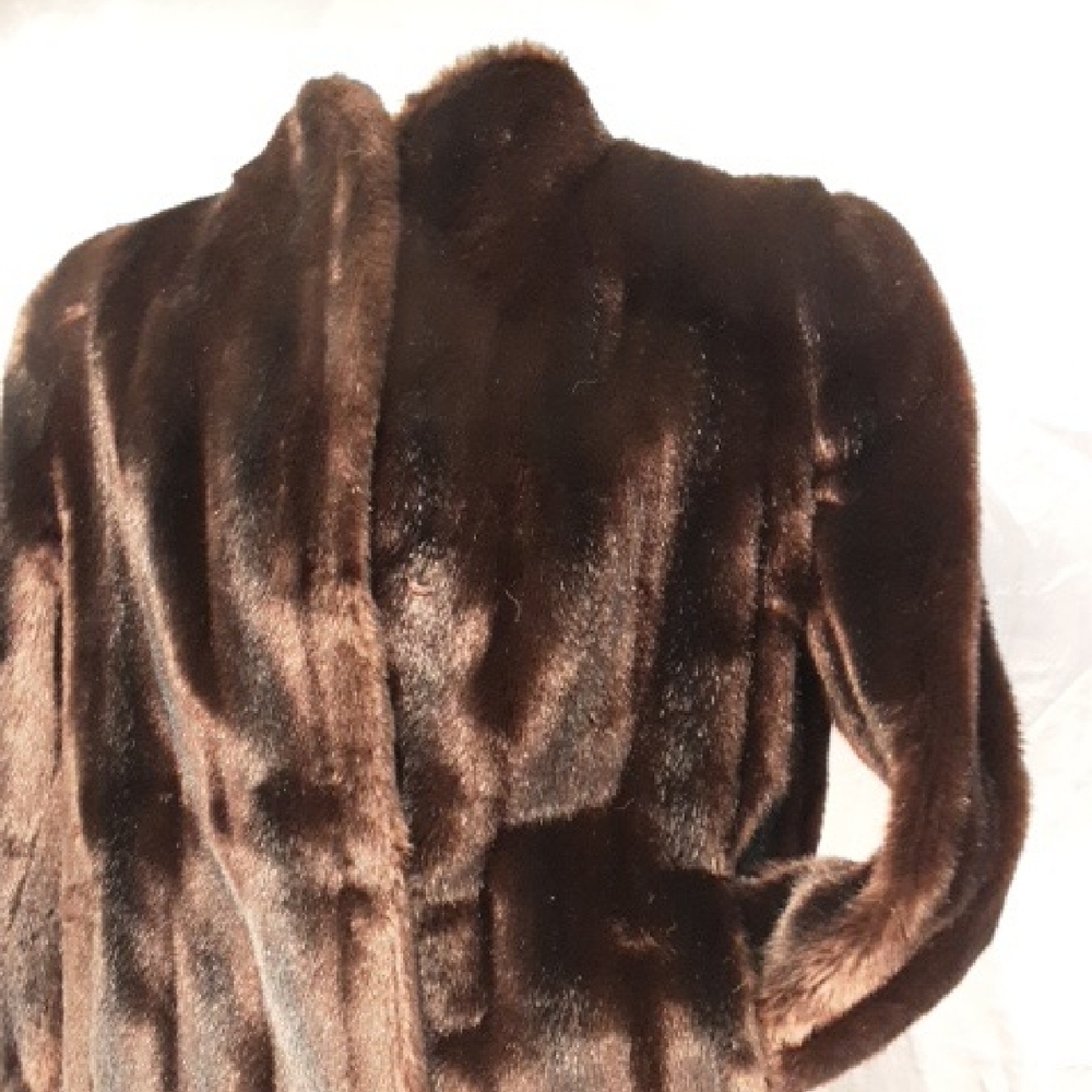 Beaver Fur View 3